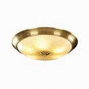 Erynvel Une | Ceiling Mounted Light