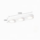 Aelaris | Surface Mounted Light