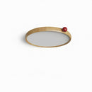 Mirivra | Ceiling Mounted Light
