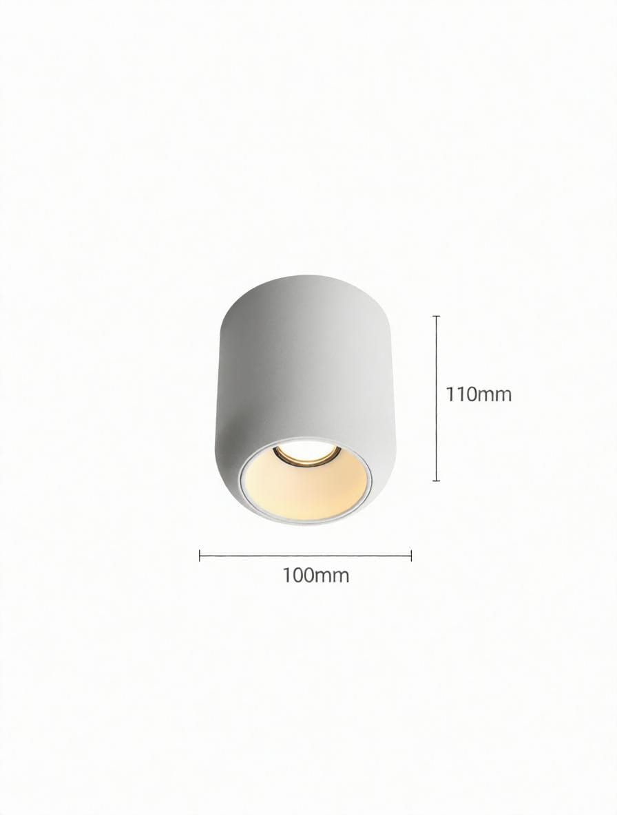 Lyrellanora | Surface Mounted Light