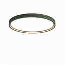 Minerich | Ceiling Mounted Light