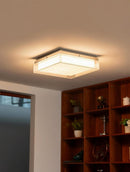 Kaelrye I Ceiling Mounted Light