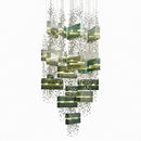 Lyvanthar I Cluster Chandelier