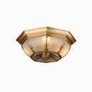 Syrenrae | Ceiling Mounted Light