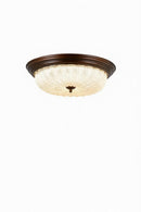 Venysira | Ceiling Mounted Light