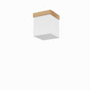 Elvathia I Semi Flush Mounted Light