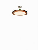 Elanthir I Semi Flush Mounted Light