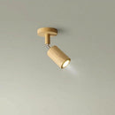 Aelvenstra | Track Light