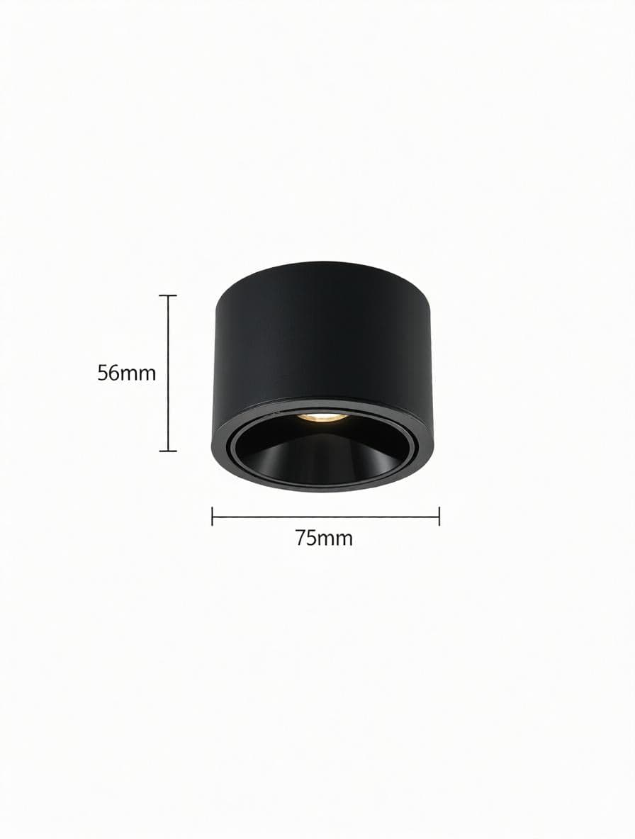 Jonvaleriae | Surface Mounted Light