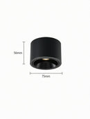 Jonvaleriae | Surface Mounted Light