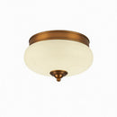 Nyrathil | Ceiling Mounted Light