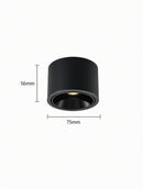 Jonvaleriae | Surface Mounted Light