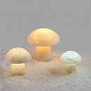 Hallithia | Alabaster Table Lamp