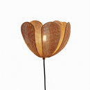 Erelith | Rattan Wall Light