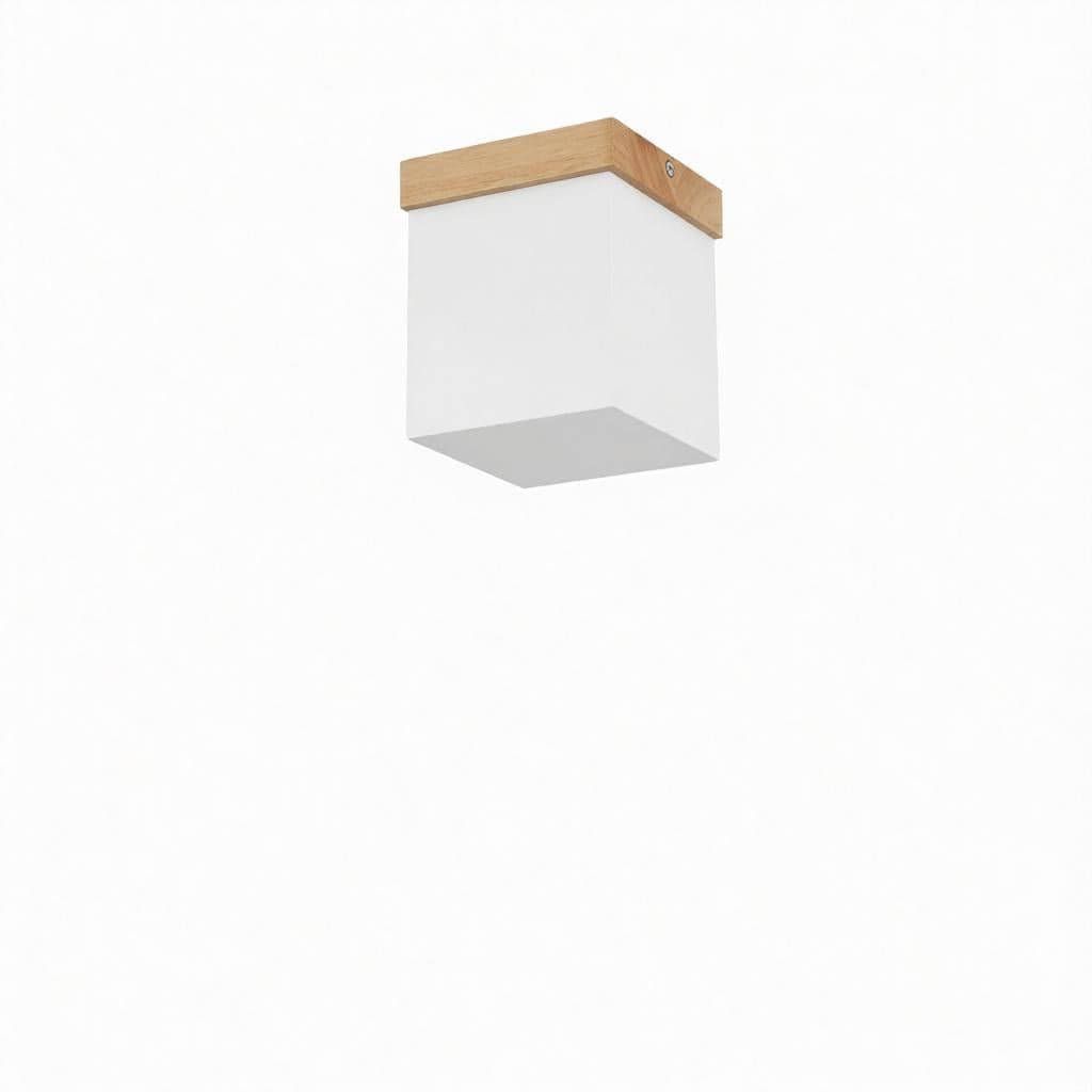 Elvathia | Semi Flush Mounted Light - Modern Semi Flush Mounted Light | HomeCartel Philippines