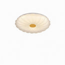 Ryrenthia | Ceiling Mounted Light