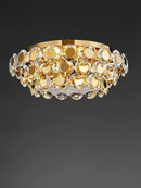 Brionyx | Ceiling Mounted Light