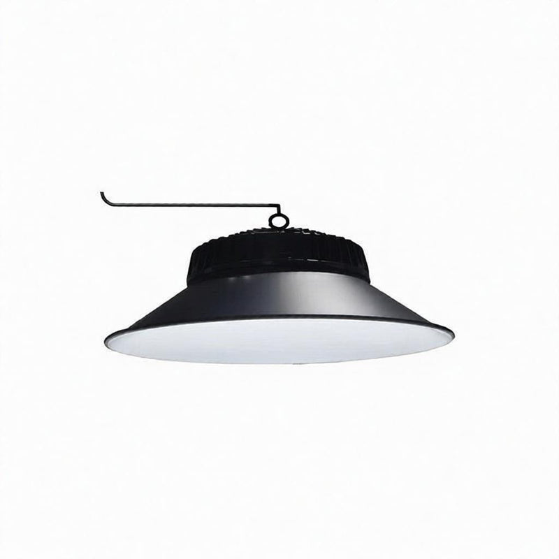 Helarisse | Outdoor Pendant Light