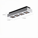 Ralvenith B | Surface Mounted Light