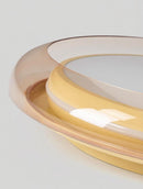 Fenelira I Retro Ceiling Mounted Light