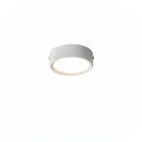 Lorvinthera | Surface Mounted Light