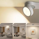 Kelryssarae | Surface Mounted Light