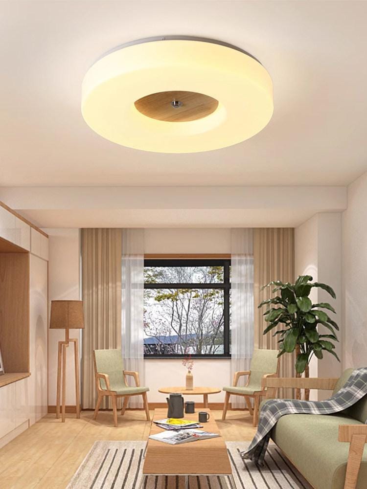 Lirianne | Ceiling Mounted Light - Detail View #4 | HomeCartel