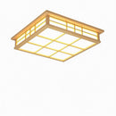 Tarysira | Ceiling Mounted Light