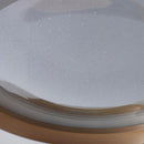 Dollente | Ceiling Mounted Light
