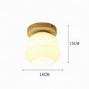 Iolwynn | Semi Flush Mounted Light