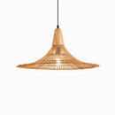 Eryntha | Pendant Light