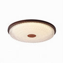 Elthain D | Ceiling Mounted Light