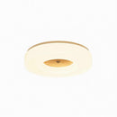Lirianne | Ceiling Mounted Light
