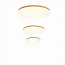 Elenwys I Ceiling Mounted Light