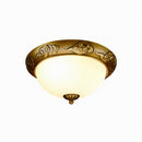 Sioraelis | Ceiling Mounted Light