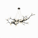 Dravus | Chandelier