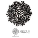 Nymorae | Ceiling Mounted Light