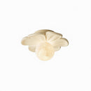 Cairinna A | Ceiling Mounted Light