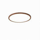 Vaenile | Ceiling Mounted Light