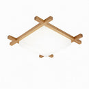 Malorien A | Ceiling Mounted Light