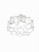 Ilvaris | Ceiling Mounted Light