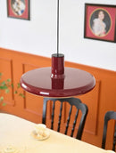 Vynelora | Pendant Light
