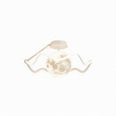 Velthari | Semi Flush Mounted Light