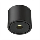 Ysolenyae Deux | Surface Mounted Light