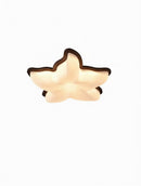 Sorynwen | Ceiling Mounted Light
