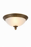 Elindrya | Ceiling Mounted Light