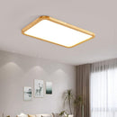 Rozner Deux | Ceiling Mounted Light