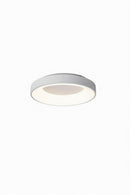Progar 1 | Ceiling Mounted Light
