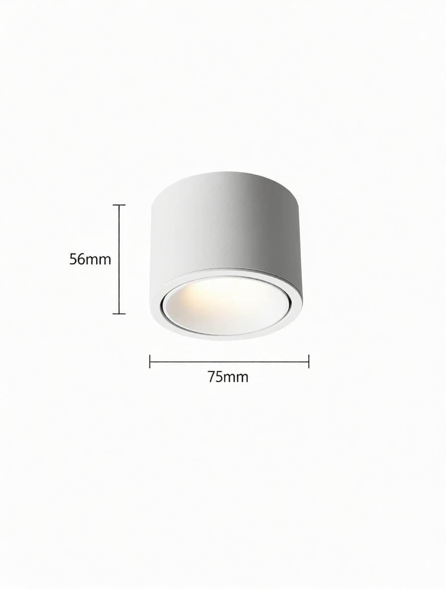 Jonvaleriae | Surface Mounted Light