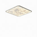 Morindor C | Ceiling Mounted Light